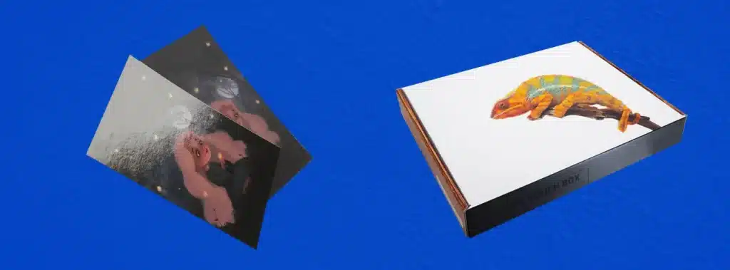 A blue background displays two images one of a chameleon and another of a lizard emphasizing their distinct features